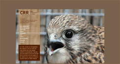 Desktop Screenshot of crr-geneve.ch